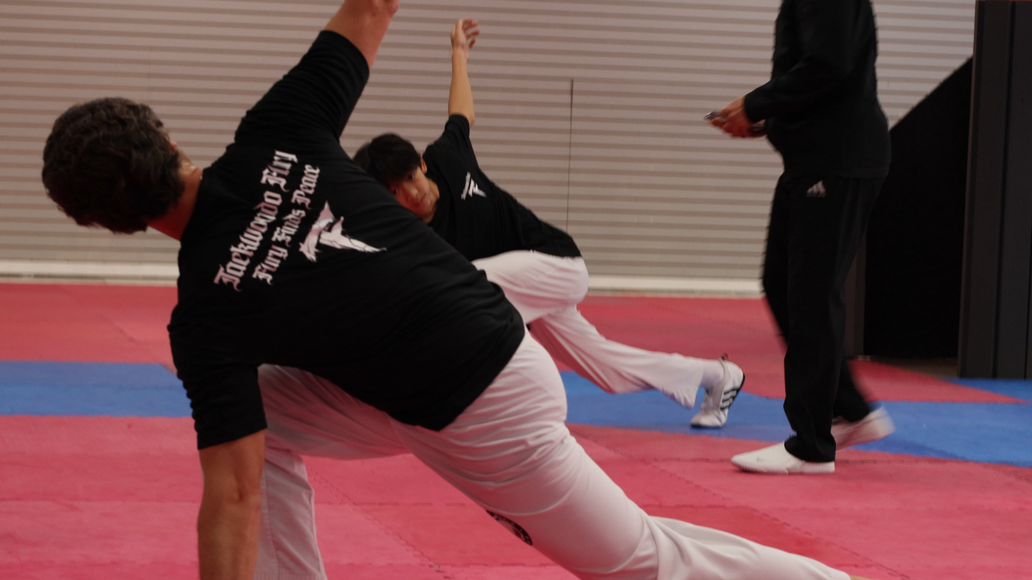 Taekwondo Fury Training Tee