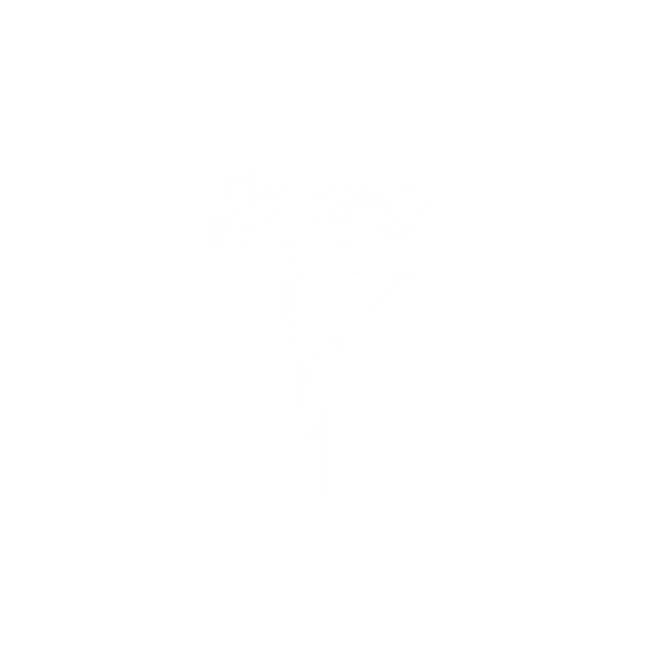 Taekwondo Fury Merch